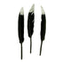 Goose Feathers with Glitter Tip (available in 4 colours)