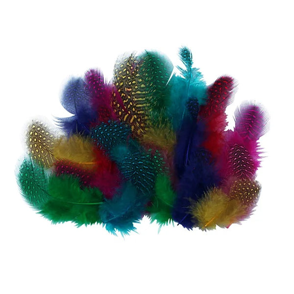 Guinea Hen Plumage Craft Feathers