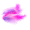 Hot Pink/Lavender/Soft Pink Craft Feathers