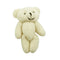 White Little Craft Teddy Bear