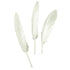 Metallic Goose Feathers (available in 2 colours)