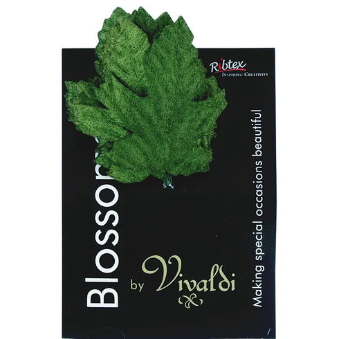 Oak Flower Velvet Leaves