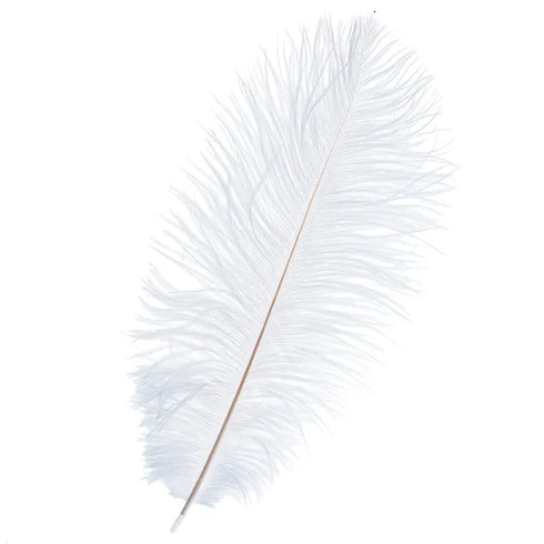 Ostrich Feathers