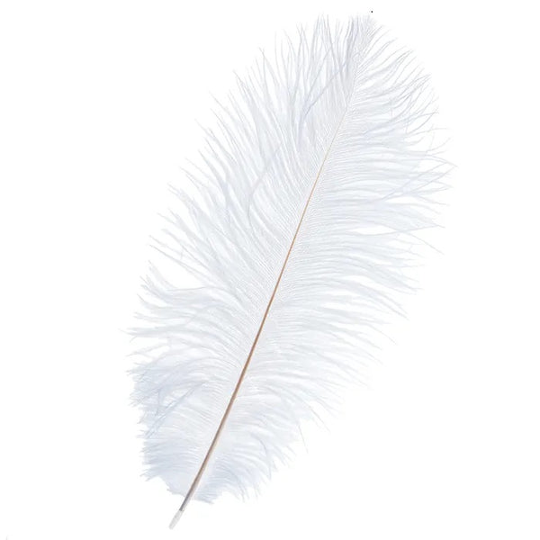Ostrich Feathers