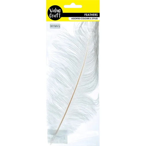 Ostrich Feathers