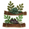 Paper and Cork Succulent Boat Ornament