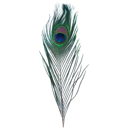 Peacock Eyes Craft Feathers