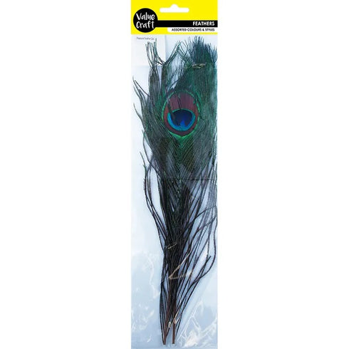 Peacock Eyes Craft Feathers
