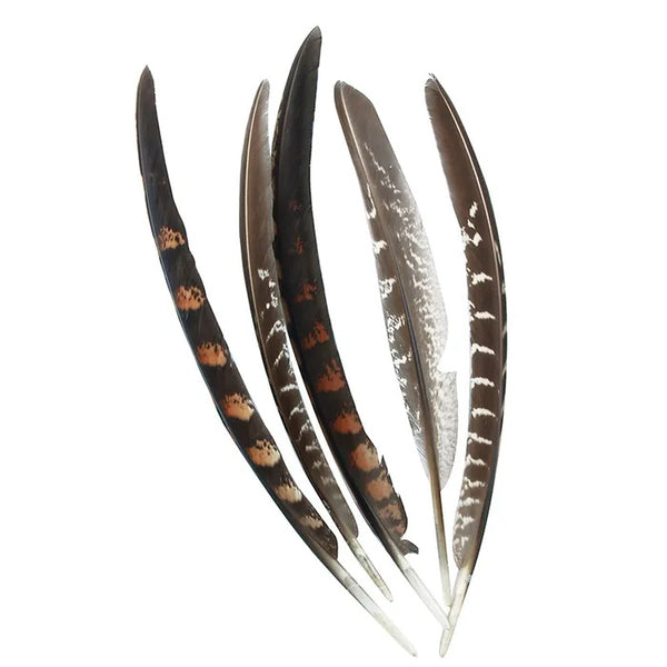 Pheasant Quill Craft Feathers