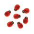 Self Adhesive Wooden Lady Bird Shape Embellishment