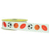Sports Grosgrain Ribbon