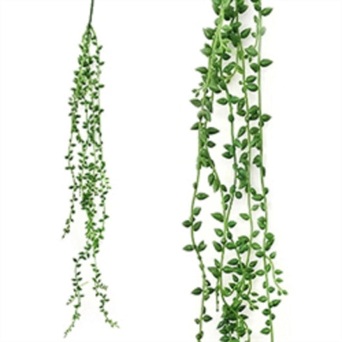 String of Beans Greenery