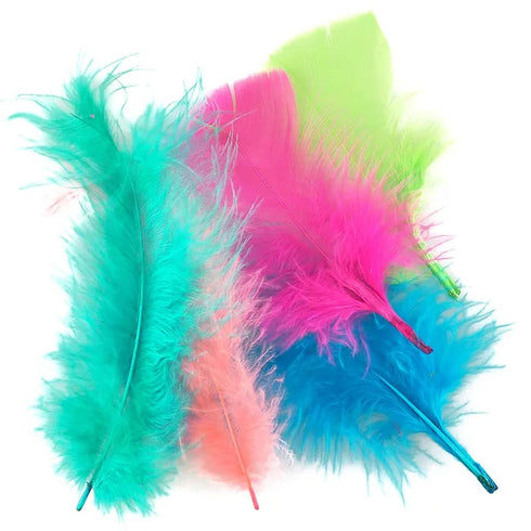 Summer Fluro Colour Craft Feathers