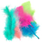 Summer Fluro Colour Craft Feathers