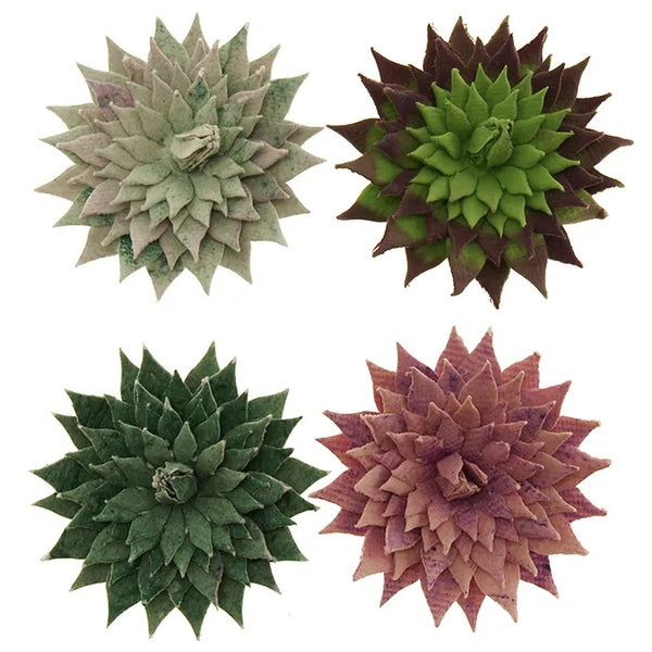 Vivid Succulents Ornament