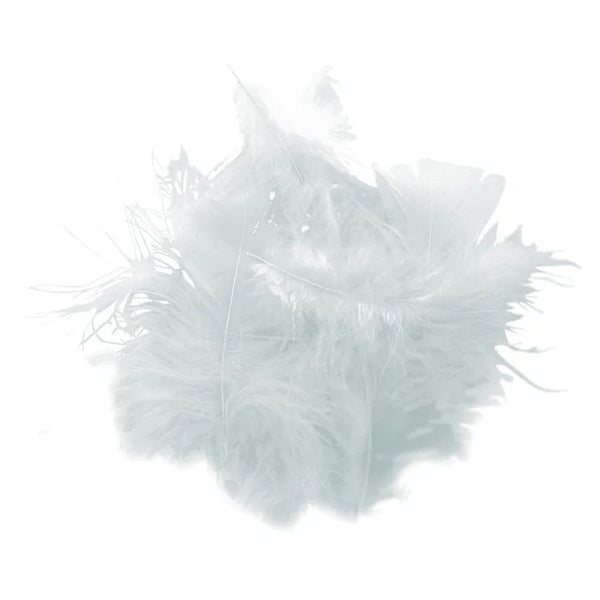 White Colour Craft Feathers