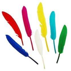 AussieSuperStore Art & Craft Essentials Assorted Feathers Assorted Feathers | Artificial Craft Feathers 9331468057543 VCF42