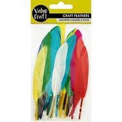 AussieSuperStore Art & Craft Essentials Assorted Feathers Assorted Feathers | Artificial Craft Feathers 9331468057543 VCF42