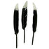 AussieSuperStore Art & Craft Essentials Black Goose Feathers with Glitter Tip (in 4 colors) Goose Feathers with Glitter Tip (in 4 colors) | Artificial Craft Feathers 9331468057574 VCF45