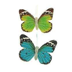 AussieSuperStore Art & Craft Essentials Blue-Green Butterfly 9x6cm (in 4 varieties) Butterfly 9x6cm (in 4 varieties) | Craft Animal Embellishments 9323823204440 CRIT1906