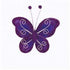 AussieSuperStore Art & Craft Essentials Butterflies Lavender Butterflies Lavender | Organza Butterflies | Craft Party Decorations 9331468022862 VCBFLV