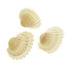 AussieSuperStore Art & Craft Essentials Craft Clam Shells Craft Clam Shells | Shells for Crafting 9331468051886 VJY500