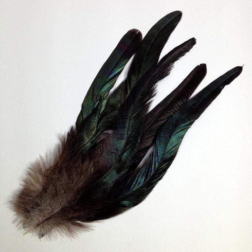 AussieSuperStore Art & Craft Essentials Craft Feathers Black Craft Feathers Black | Artificial Feathers | Synthetic Feathers FEA-513