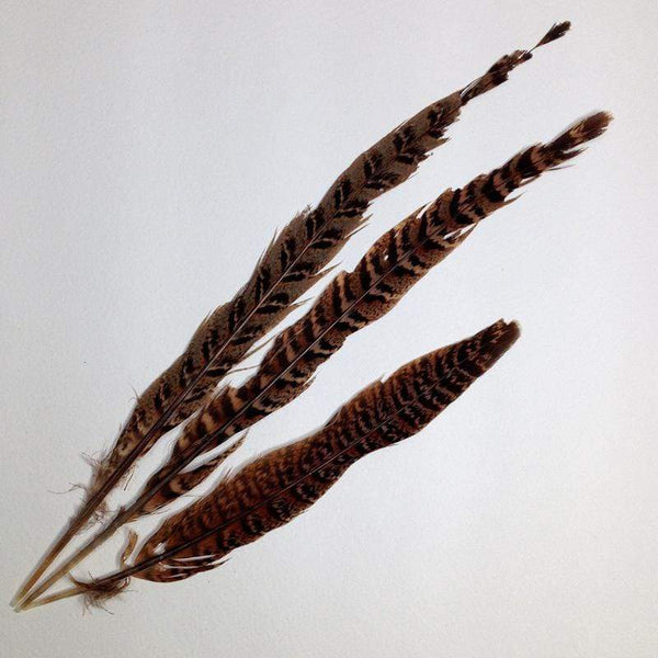 AussieSuperStore Art & Craft Essentials Craft Feathers Black Striped Craft Feathers Black Striped |Artificial Feathers | Synthetic Feathers FEA-512