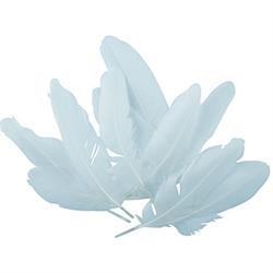 AussieSuperStore Art & Craft Essentials Craft Feathers Goose White Craft Feathers Goose White | Artificial Feathers 9331468049029 VCF34