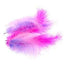 AussieSuperStore Art & Craft Essentials Craft Feathers Hot Pink/Lavender/Soft Pink Craft Feathers Hot Pink/Lavender/Soft Pink | Artificial Feathers 9331468000198 VCFHP