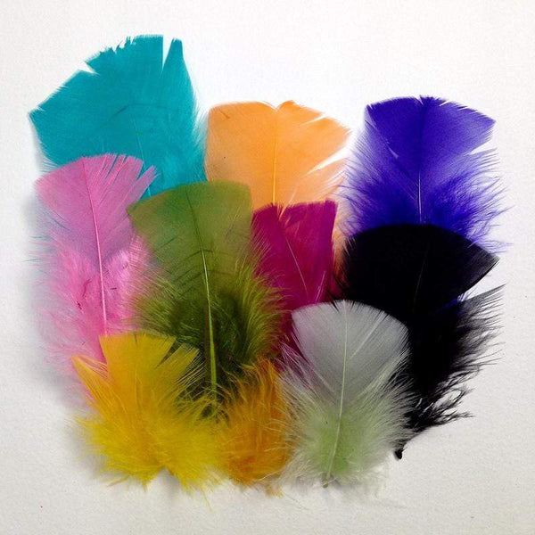 AussieSuperStore Art & Craft Essentials Craft Feathers Mixed color Craft Feathers Mixed color | Artificial Feathers | Synthetic Feathers FEA-492
