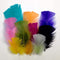 AussieSuperStore Art & Craft Essentials Craft Feathers Mixed color Craft Feathers Mixed color | Artificial Feathers | Synthetic Feathers FEA-492