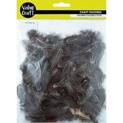 AussieSuperStore Art & Craft Essentials Craft Feathers Neck Plumage Craft Feathers Neck Plumage | Artificial Feathers 9331468049012 VCF33