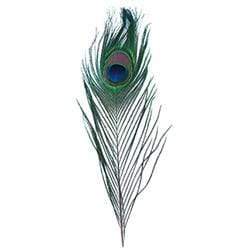 AussieSuperStore Art & Craft Essentials Craft Feathers Peacock Craft Feathers Peacock | Artificial Feathers 9331468048978 VCF29