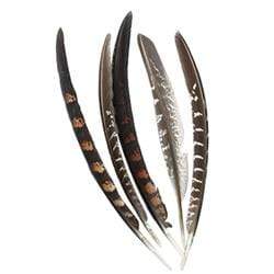 AussieSuperStore Art & Craft Essentials Craft Feathers Pheasant Craft Feathers Pheasant | Artificial Feathers 9331468048985 VCF30