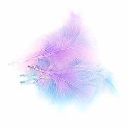 AussieSuperStore Art & Craft Essentials Craft Feathers Pink/Blue/Lilac Craft Feathers Pink/Blue/Lilac | Artificial Feathers 9331468013440 VCFPS