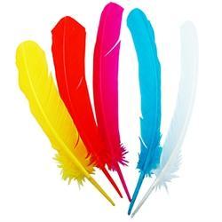 AussieSuperStore Art & Craft Essentials Craft Feathers Quill Craft Feathers Quill | Artificial Feathers 9331468048961 VCF28
