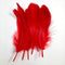 AussieSuperStore Art & Craft Essentials Craft Feathers Red Craft Feathers Red | Artificial Feathers | Synthetic Feathers FEA-506