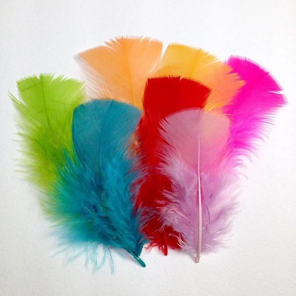 AussieSuperStore Art & Craft Essentials Craft Feathers Small Mixed colors Craft Feather Small Mixed colors| Artificial Feather|Synthetic Feather FEA-491