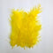AussieSuperStore Art & Craft Essentials Craft Feathers Yellow Craft Feathers Yellow | Artificial Feathers | Synthetic Feathers FEA-496
