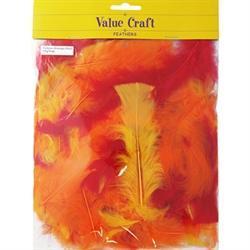 AussieSuperStore Art & Craft Essentials Craft Feathers Yellow/Red/Orange Craft Feathers Yellow/Red/Orange | Artificial Feathers 9331468036807 VCF23