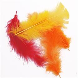 AussieSuperStore Art & Craft Essentials Craft Feathers Yellow/Red/Orange Craft Feathers Yellow/Red/Orange | Artificial Feathers 9331468036807 VCF23