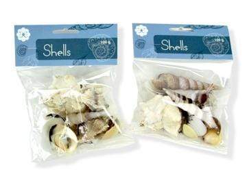 AussieSuperStore Art & Craft Essentials Craft Shells Craft Shells | Shells for Crafting 9320760050062 CRAFT 050062