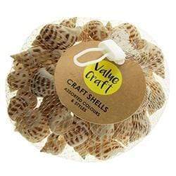 AussieSuperStore Art & Craft Essentials Craft Snail Shape Shells Craft Snail Shape Shells | Shells for Crafting 9331468051893 VJY501