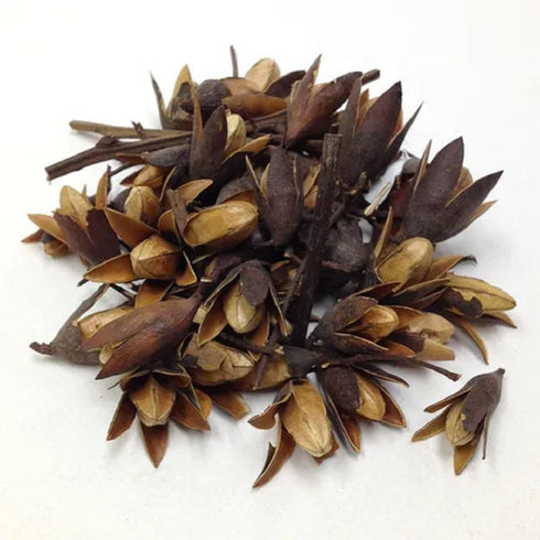 AussieSuperStore Art & Craft Essentials Dried Seedless Flower Pods Dried Seedless Flower Pods | Craft Wooden Popsicle Sticks | Wooden Shapes items NP056