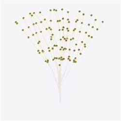 AussieSuperStore Art & Craft Essentials Gold Pearl Spray with 18 Head (in 5 colors) Pearl Spray with 18 Head  | Floral Craft Supplies | Floral Embellishments 9323823150631 FL23GD