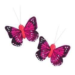 AussieSuperStore Art & Craft Essentials Hot Pink Critters Butterfly Feather 4cm (in 6 colours) Critters Butterfly Feather 4cm (in 6 colours) | Craft Party Embellishment 9323823161071 CRIT024