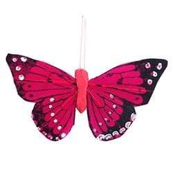 AussieSuperStore Art & Craft Essentials Hot Pink Critters Butterfly Feather 8cm (in 4 colours) Critters Butterfly Feather 8cm (in 4 colours) | Craft Party Embellishment 9323823161019 CRIT031