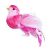 AussieSuperStore Art & Craft Essentials Hot Pink/ White Critters Bird with Curly Tail 9.5cm (in 3 colours) Critters Bird with Curly Tail 9.5cm | Animal Craft Embellishments 9323823161132 CRIT005