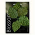 AussieSuperStore Art & Craft Essentials Large Blossoms Velvet Leaves Rose (in 3 sizes) Blossoms Velvet Leaves Rose (in 3 sizes) | Floral Craft Accessories 9323823054946 FL53